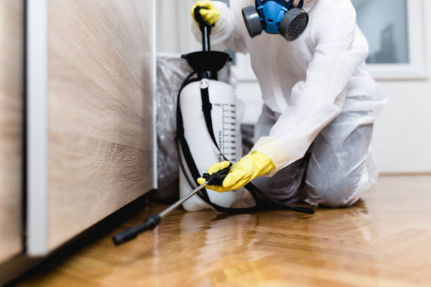 Best Best Pest Control Companies  in Haslet, TX