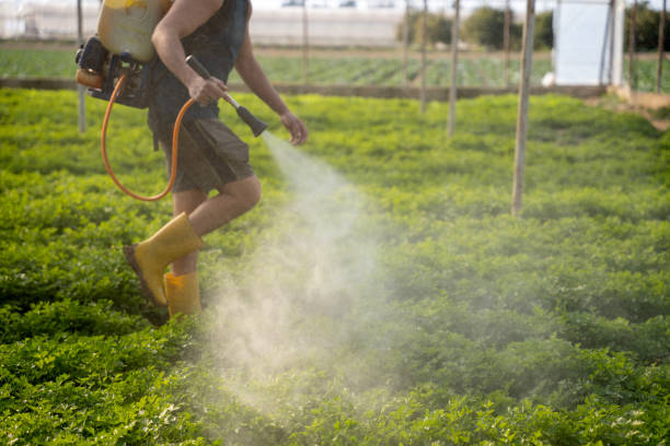 Best Residential Pest Control  in Haslet, TX