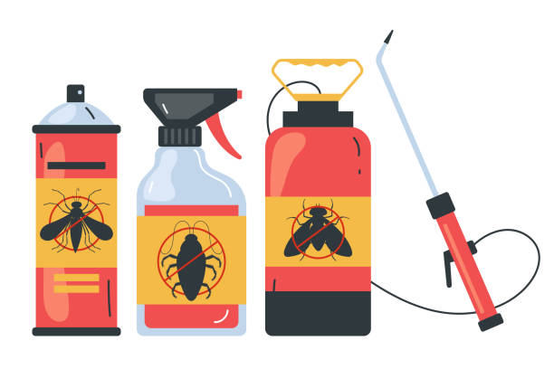 Best Termite Control Services  in Haslet, TX