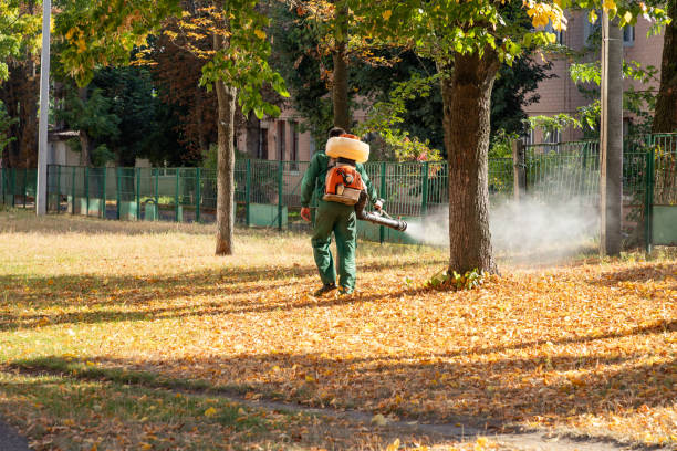 Best Affordable Pest Control Services  in Haslet, TX
