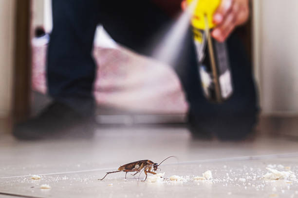 Best Affordable Pest Control Services  in Haslet, TX