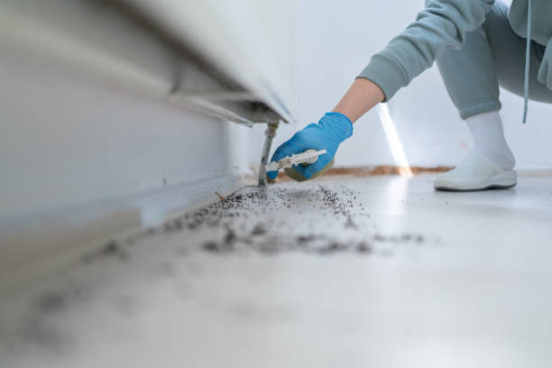 Best Affordable Pest Control Services  in Haslet, TX